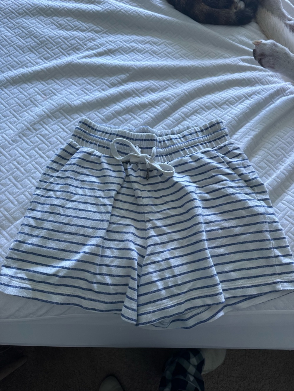 a new day Blue and White Striped Pull-On Bermuda Shorts